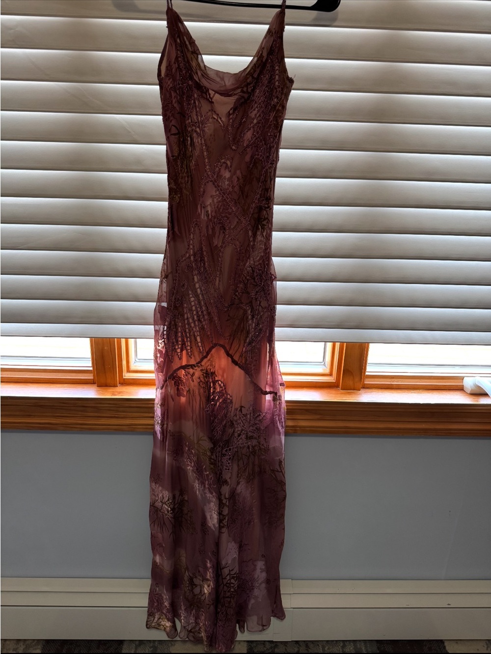 Romantic Dusty Rose Sheer Maxi Slip Dress